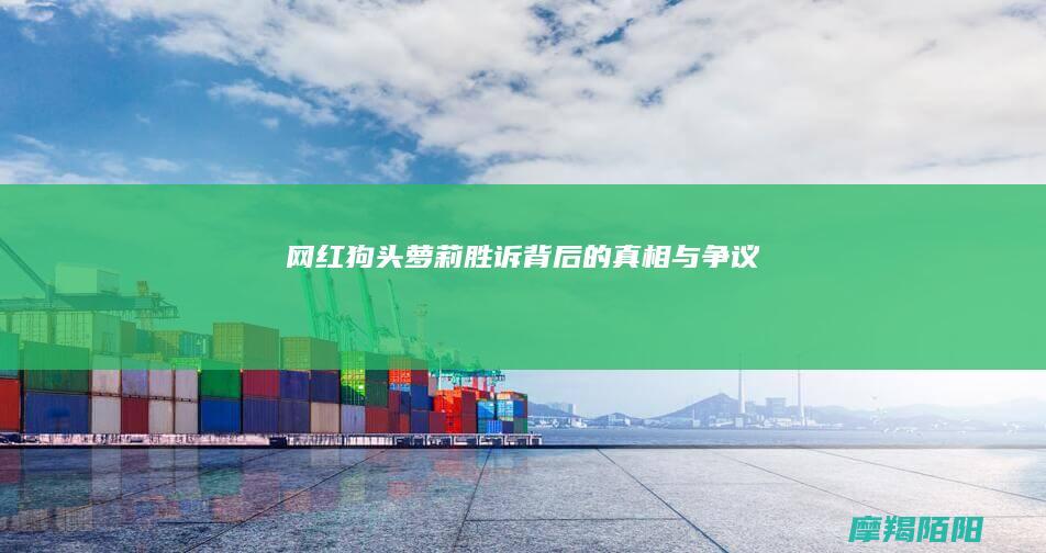 网红狗头萝莉胜诉背后的真相与争议